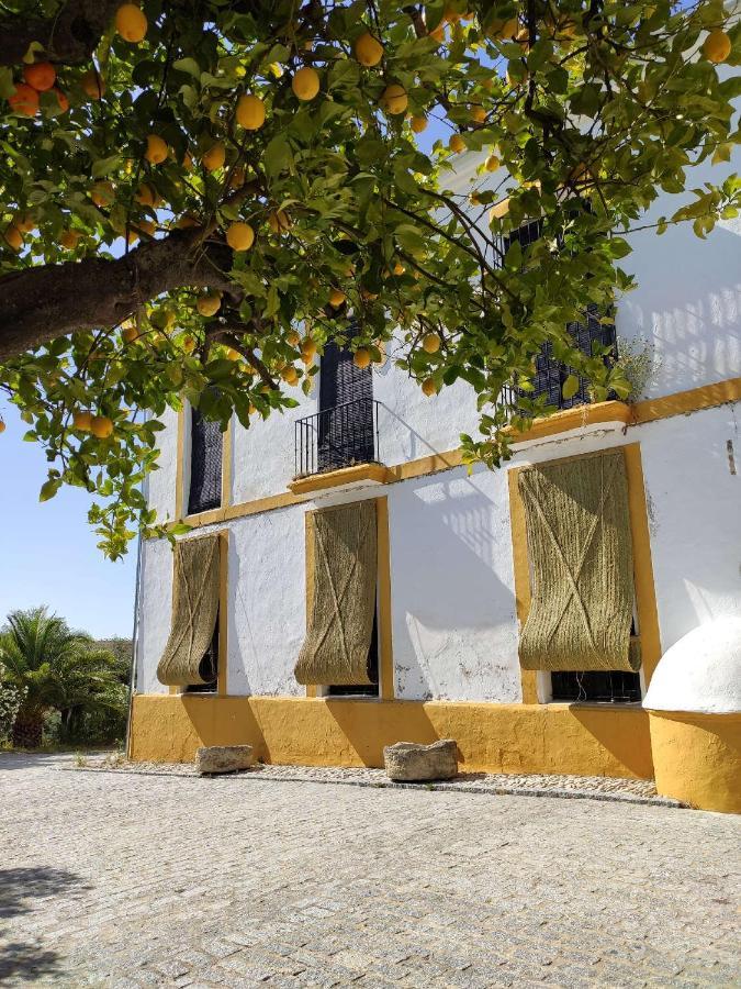Finca Las Rosas De Santa Ana Villamartin  Exterior photo