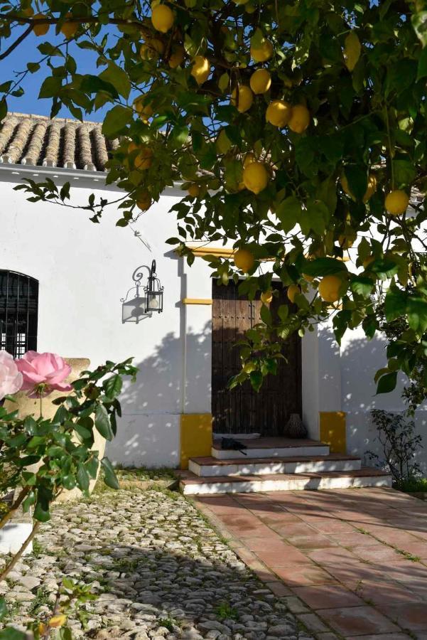 Finca Las Rosas De Santa Ana Villamartin  Exterior photo